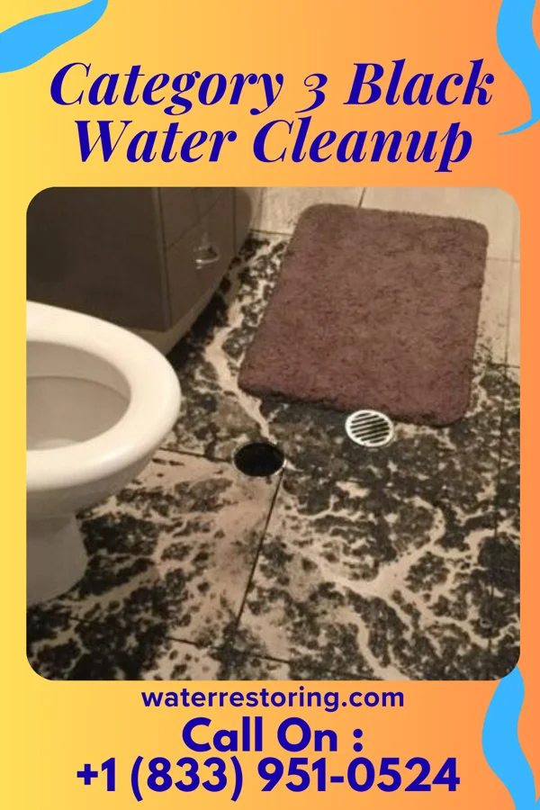 Category 3 Black Water Cleanup in Clyde, NY