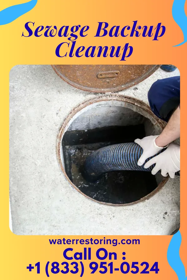 Sewage Backup Cleanup in Clyde, NY