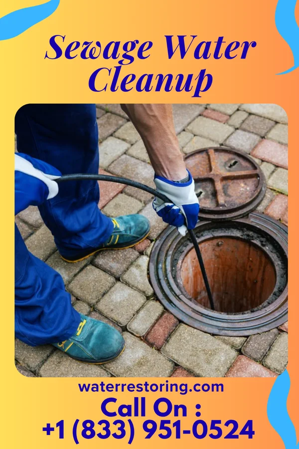 Sewage Water Cleanup in Clyde, NY